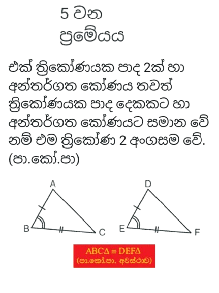 Card 5