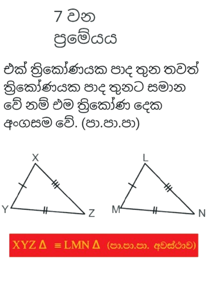 Card 7